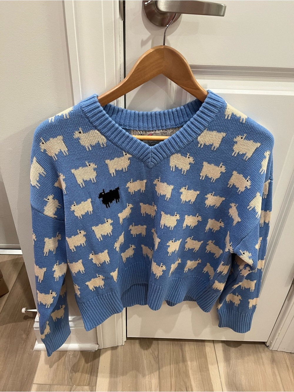 NWT Rowing Blazers Warm & Wonderful Diana Cotton Linen V-Neck Sheep Sweater Blue - Picture 8 of 10